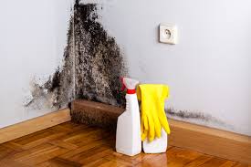 Best Industrial Mold Remediation in Concord, CA